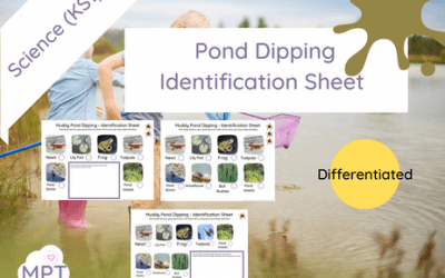 Pond Dipping Identification Sheet ( Differentiated) KS1