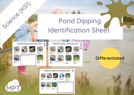Pond Dipping Identification Sheet ( Differentiated) KS1
