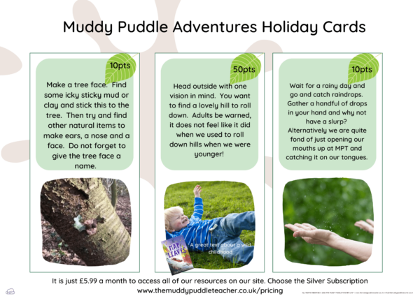 muddy puddle adventure cards