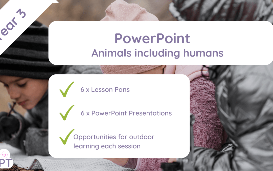 PPT: Animals including Humans (Year3)