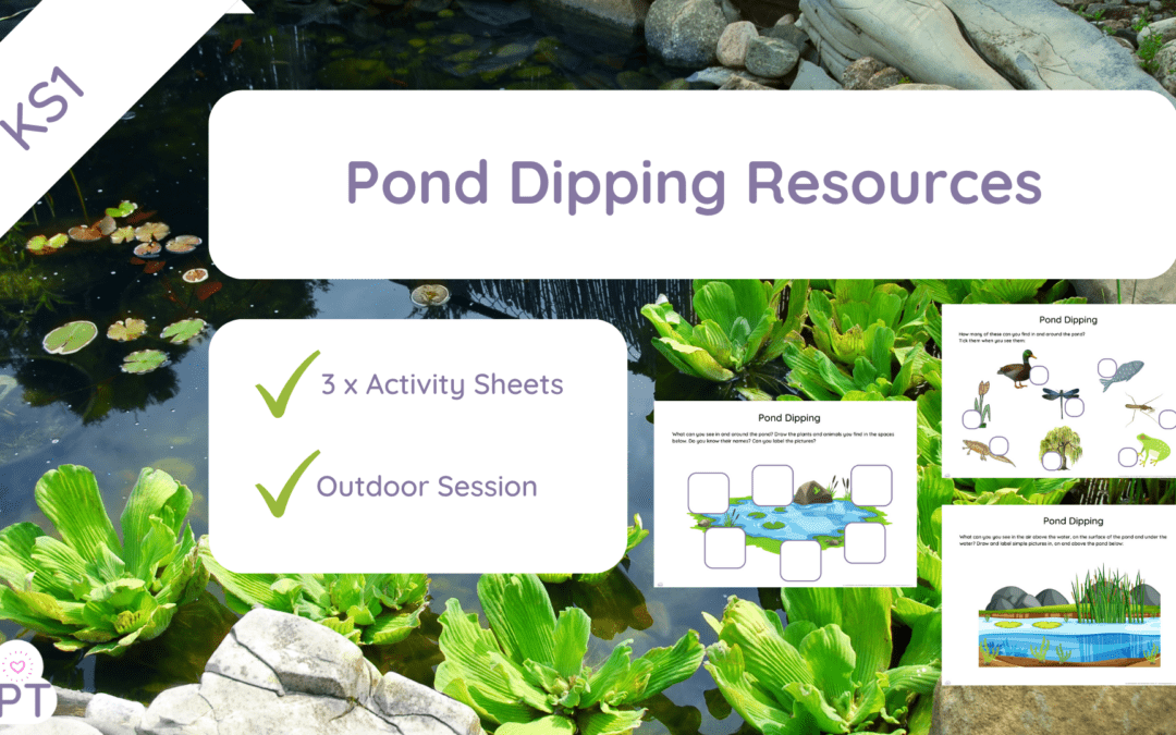 Pond Dipping (KS1)