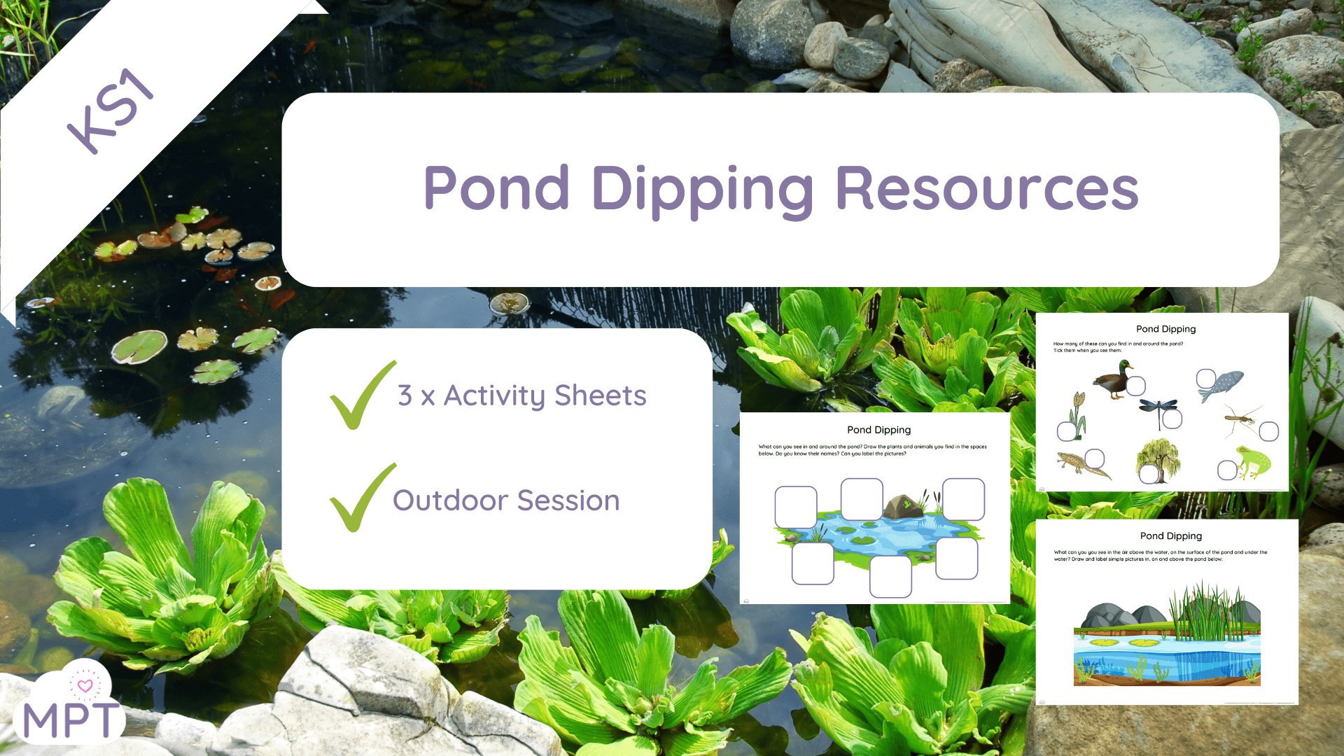 Pond Dipping (KS1) | The Muddy Puddle Teacher