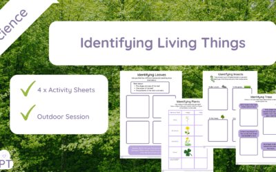 Identifying Living Things (KS1)