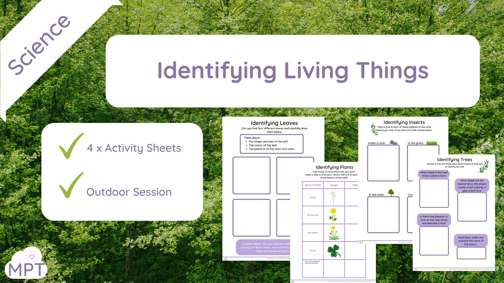 identifying living things