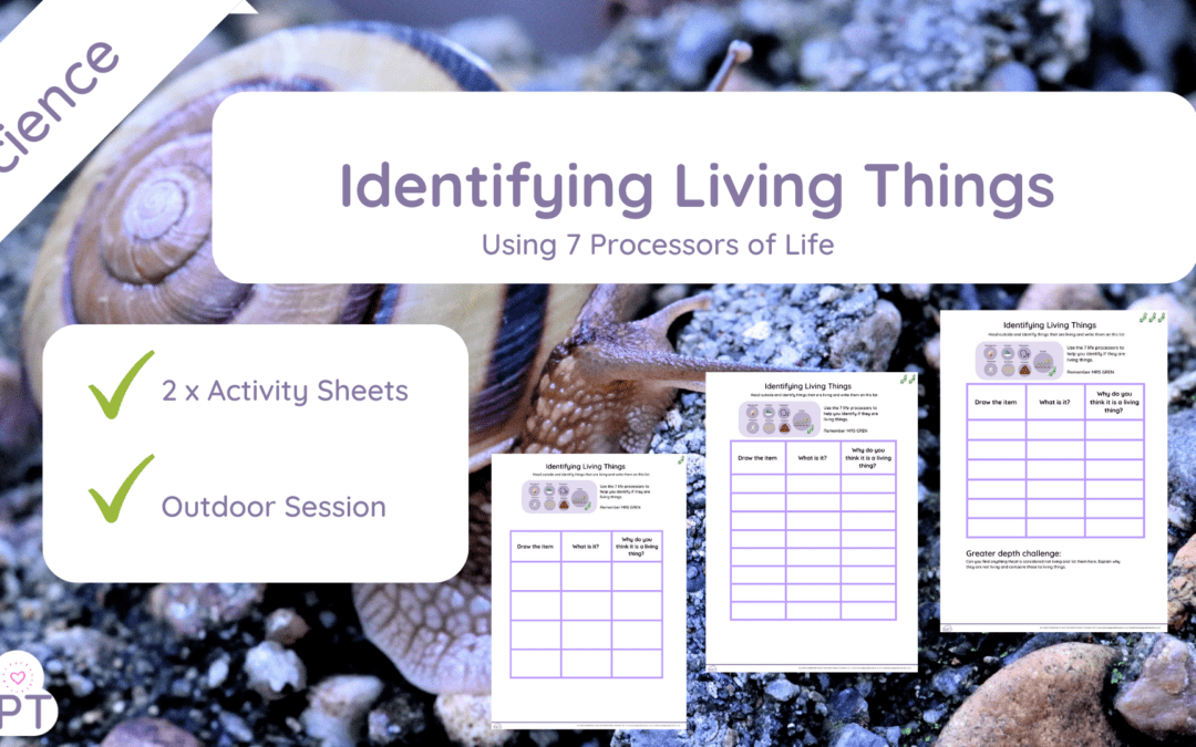 Identifying Living Things (Year 4) Differentiated