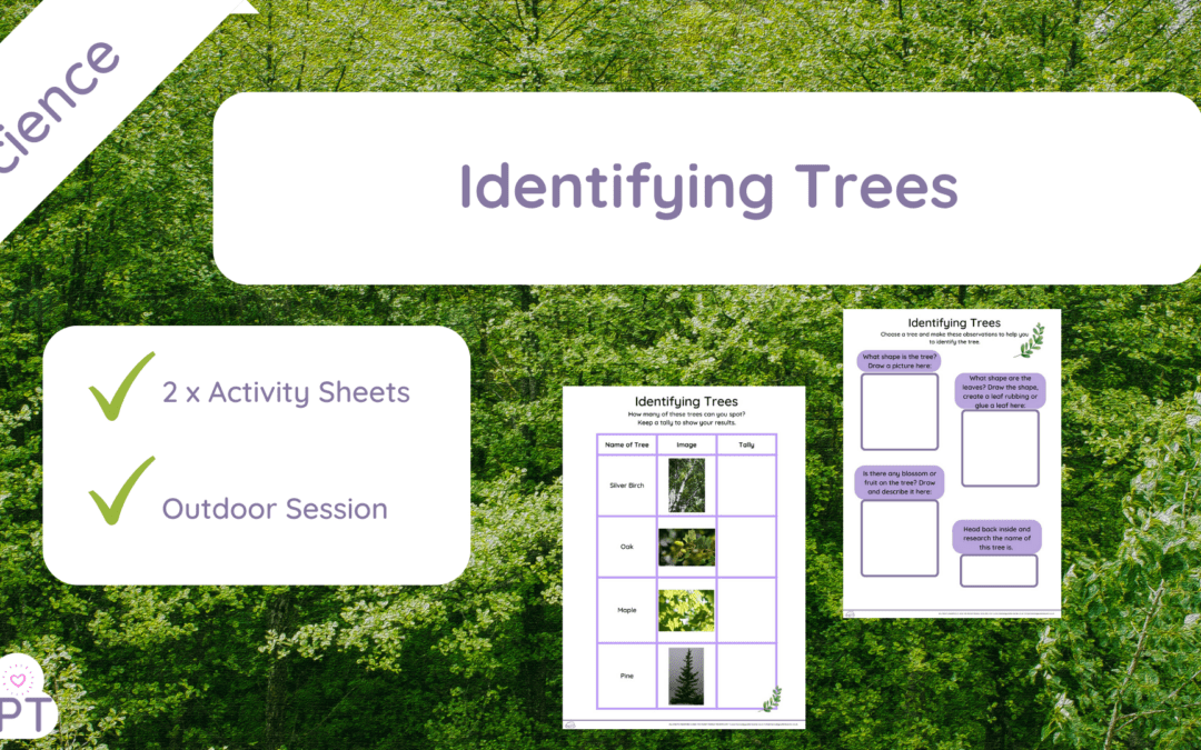 Identifying Trees (KS1)