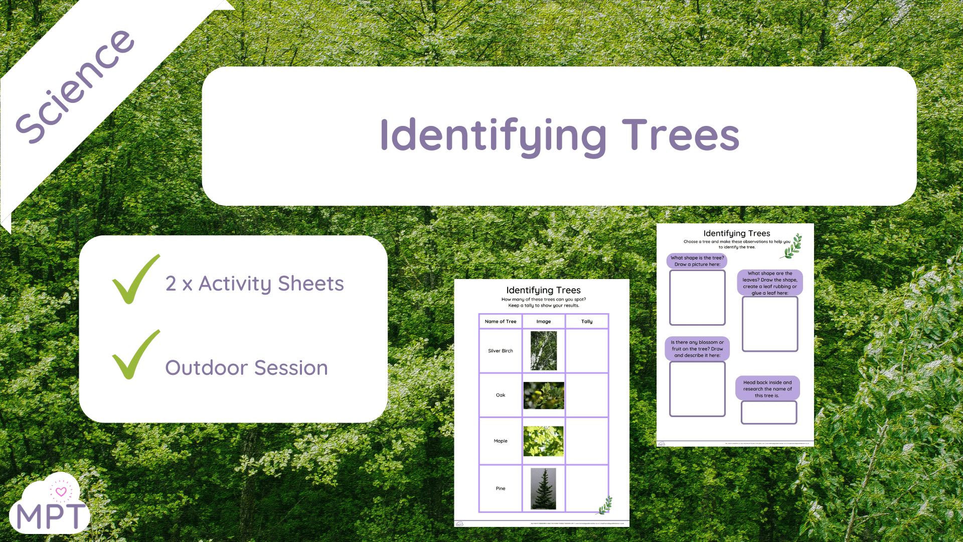 identifying trees