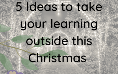 5 Ideas to have an Outdoor Christmas