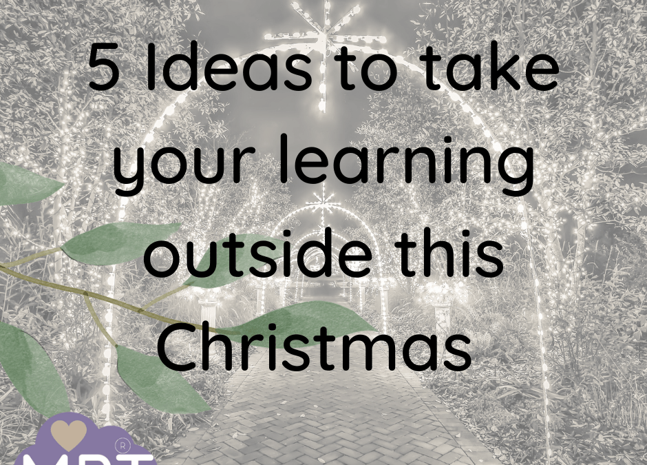 5 Ideas to have an Outdoor Christmas