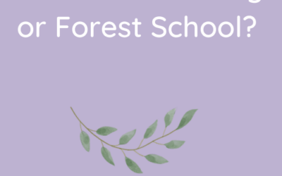 Is Forest School or Outdoor Learning what you need?
