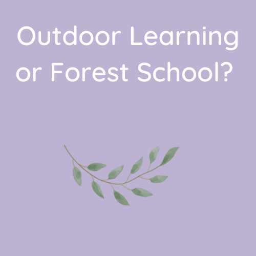 Is Forest School or Outdoor Learning what you need?