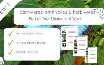 Herbivores, omnivores and carnivores
