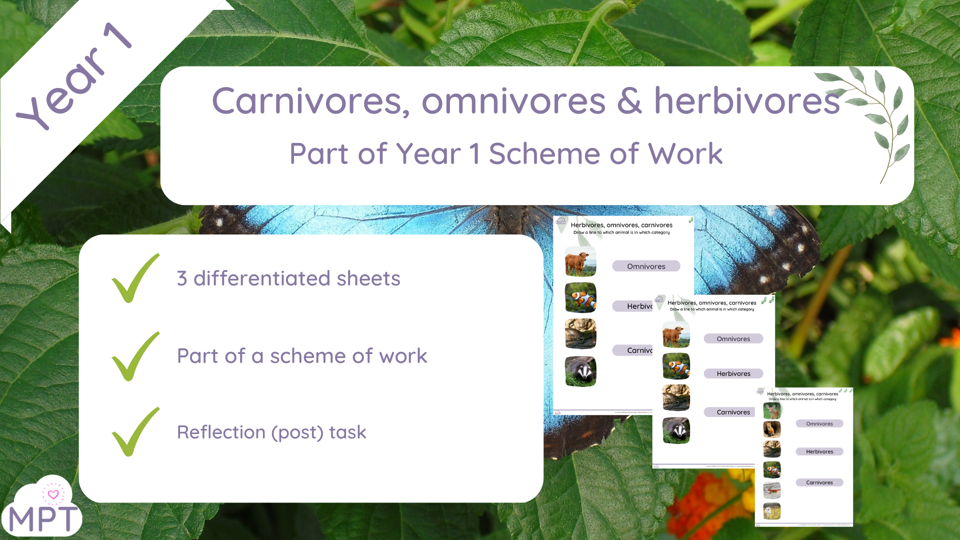 Herbivores Omnivores And Carnivores | The Muddy Puddle Teacher