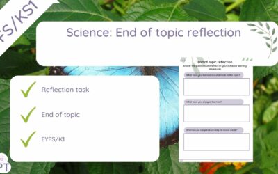End of Topic Reflection Form