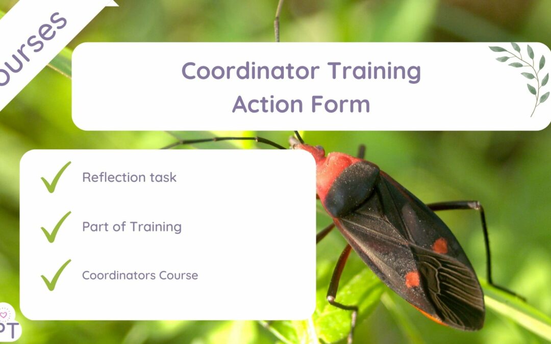 Action Plan – Outdoor Coordinators Course