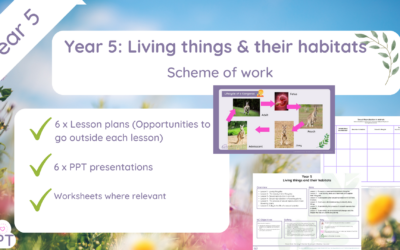 Year 5 Living things & their habitats (Scheme of Work)