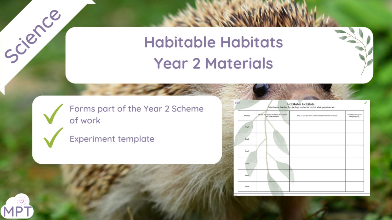 Habitable Habitats The Muddy Puddle Teacher Outdoor Learning