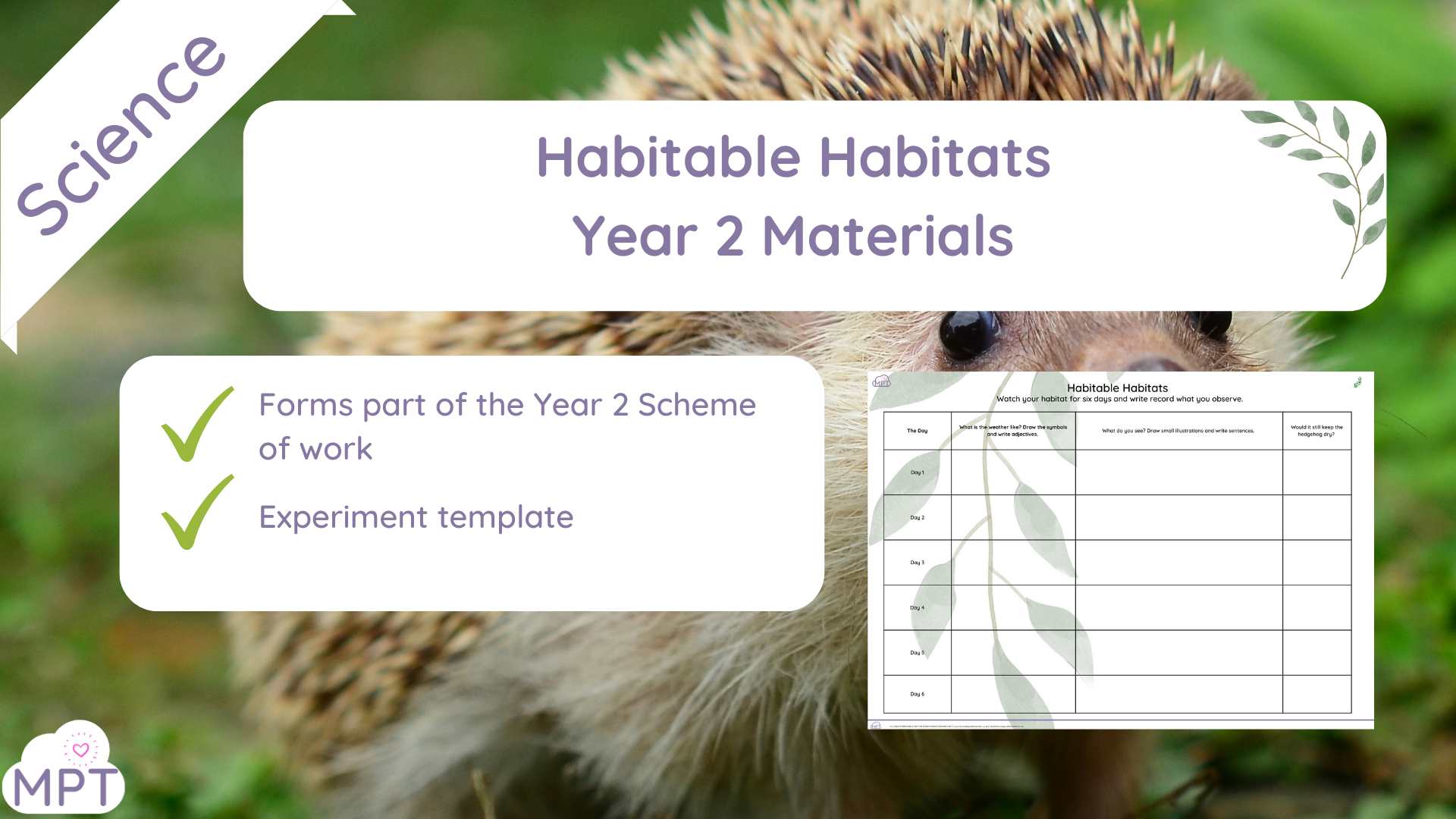 Habitable Habitats – Year 2 Materials