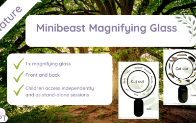 Minibeast magnifying glasses