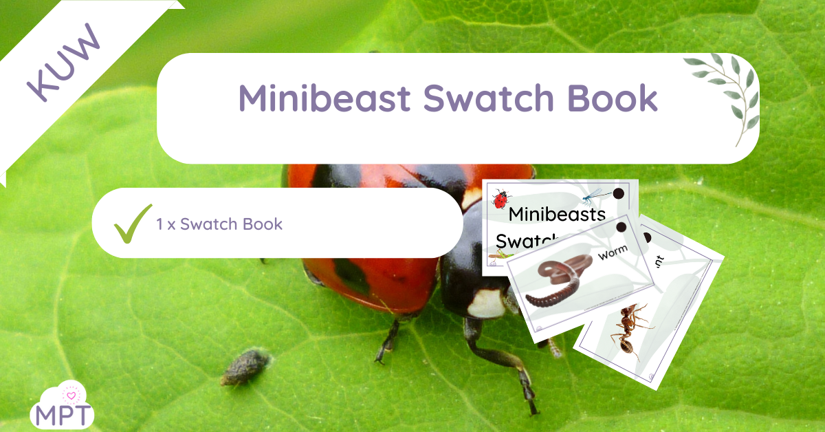 Minibeast Swatch Book | The Muddy Puddle Teacher