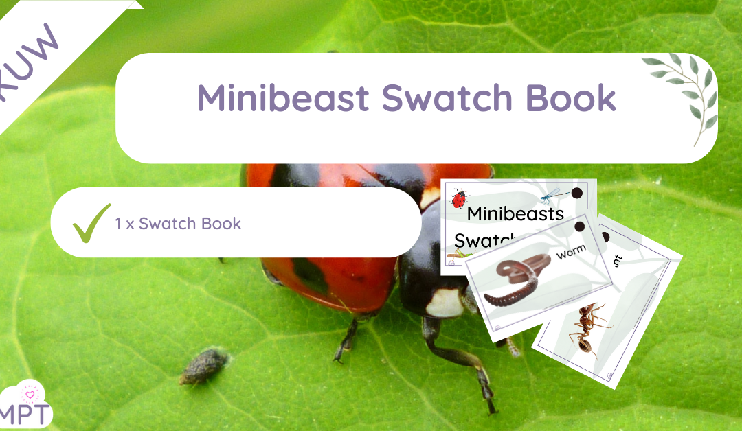 Minibeast Swatch Book