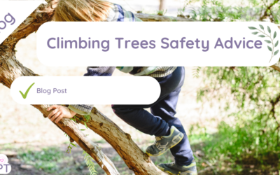 Climbing Trees Safety Advice