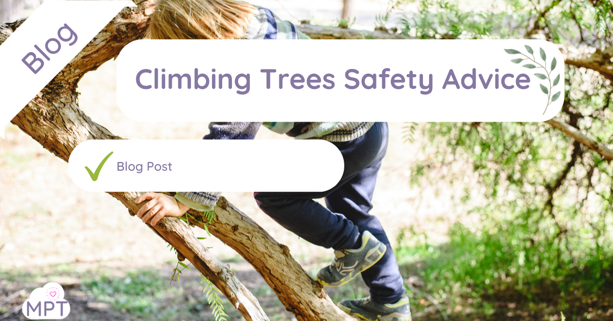 Climbing Trees Safety Advice