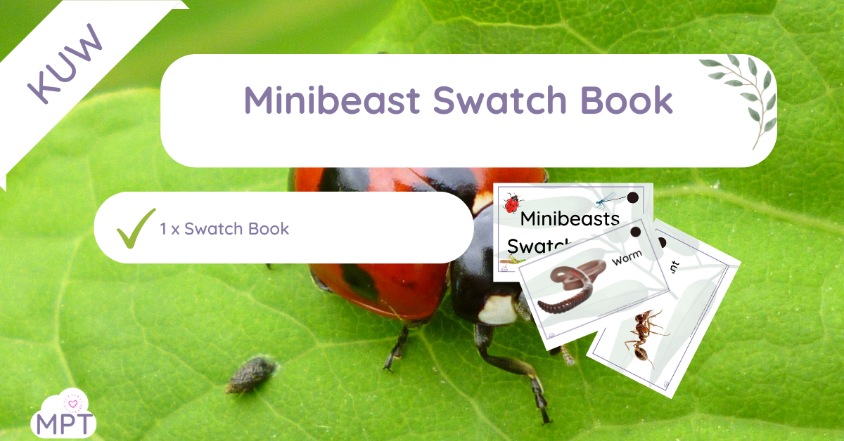 minibeast swatch book