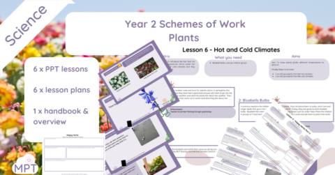 Year 2 Plants Scheme of Work