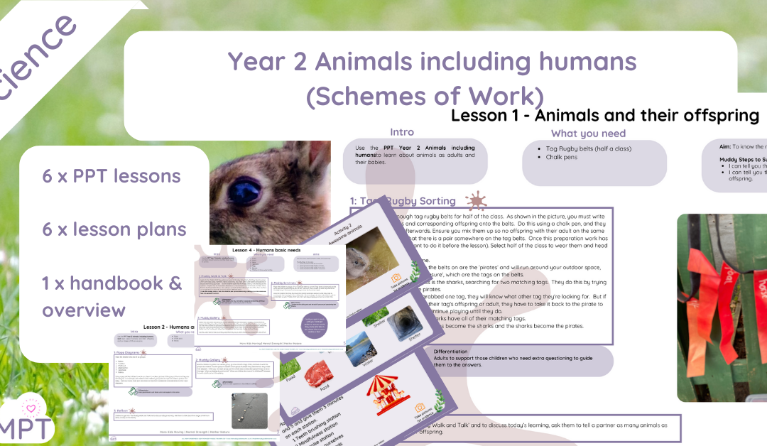 Year 2 Animals Including Humans (Scheme of Work)