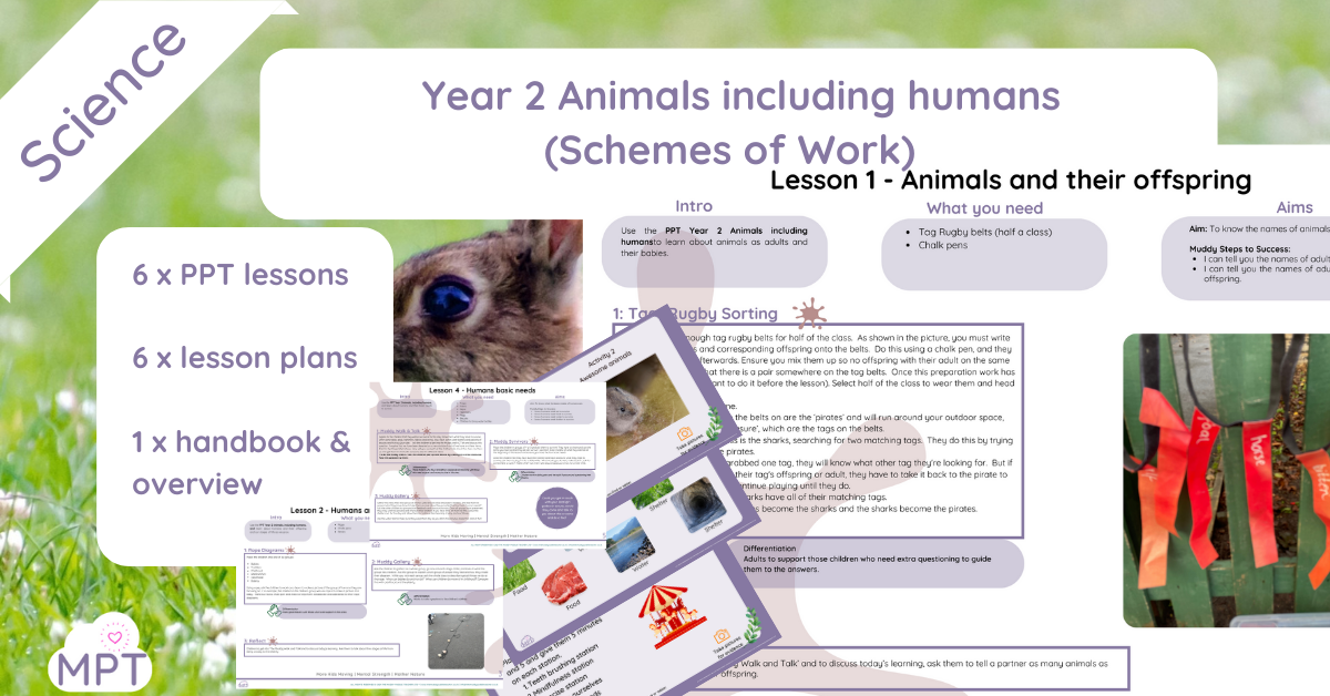 Year 2 animlas including humans