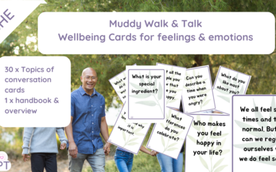 Wellbeing Cards (Emotions & Feelings)