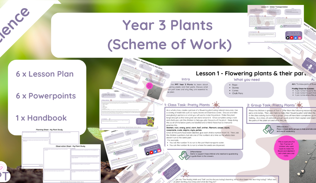 Year 3 Plants (Scheme of Work)