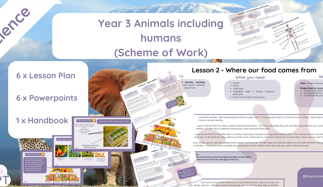 Animals including Humans (Year 3) Schemes of Work