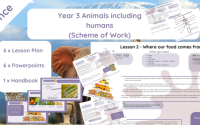 Animals including Humans (Year 3) Schemes of Work