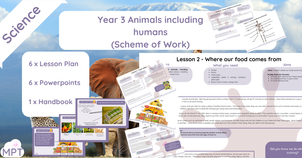 Animals including Humans (Year 3)