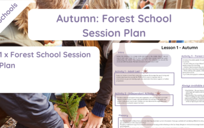 Autumn Forest School Session Plan (KS1)