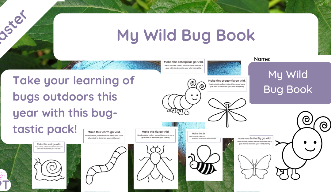 My Wild Bug Book