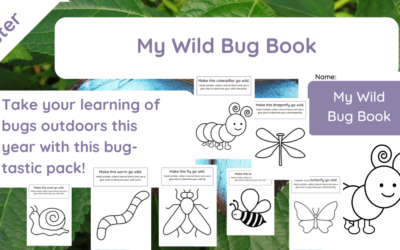 My Wild Bug Book