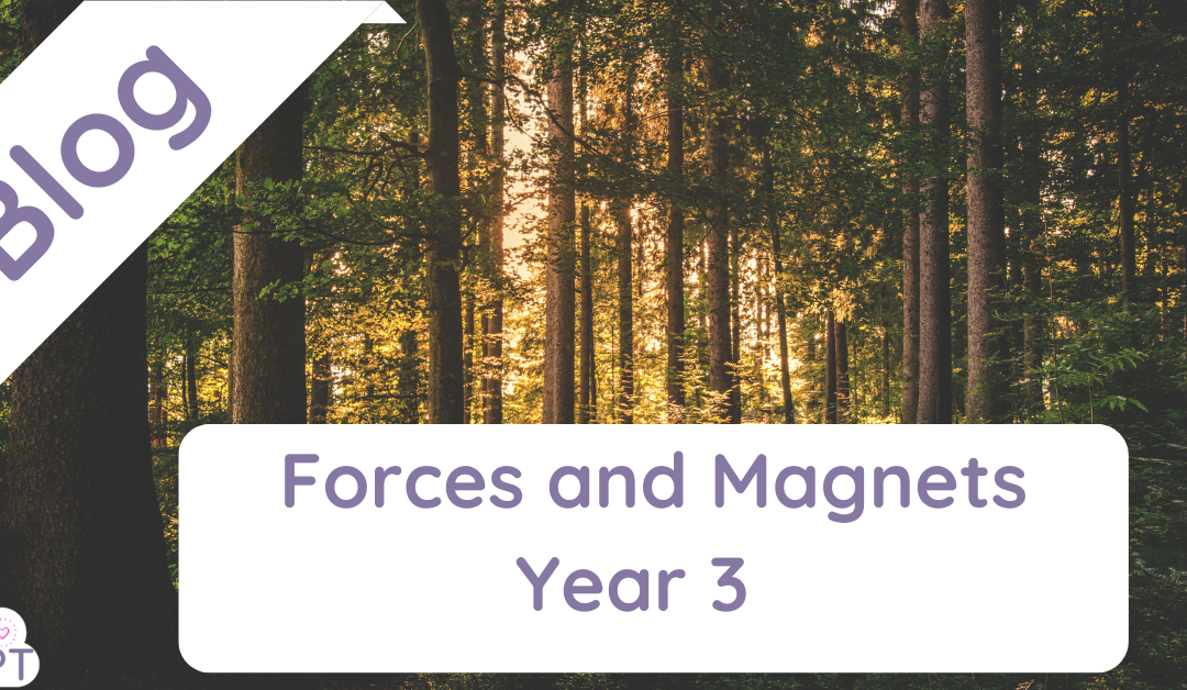 Forces and Magnets Year 3