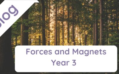 Forces and Magnets Year 3