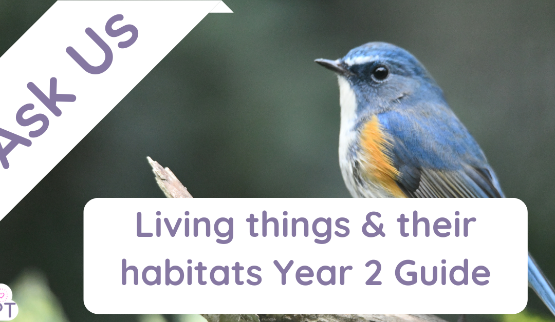 Living Things and Their Habitats Year 2 Guide