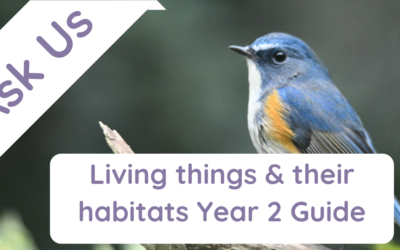 Living Things and Their Habitats Year 2 Guide