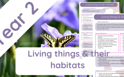 Living things & their habitats Year 2 : Lesson Plan