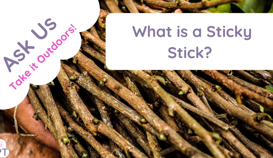 What is a Sticky Stick in Muddy Phonics?