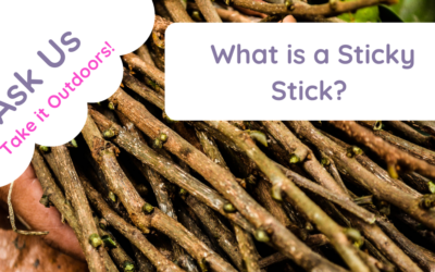 What is a Sticky Stick in Muddy Phonics?