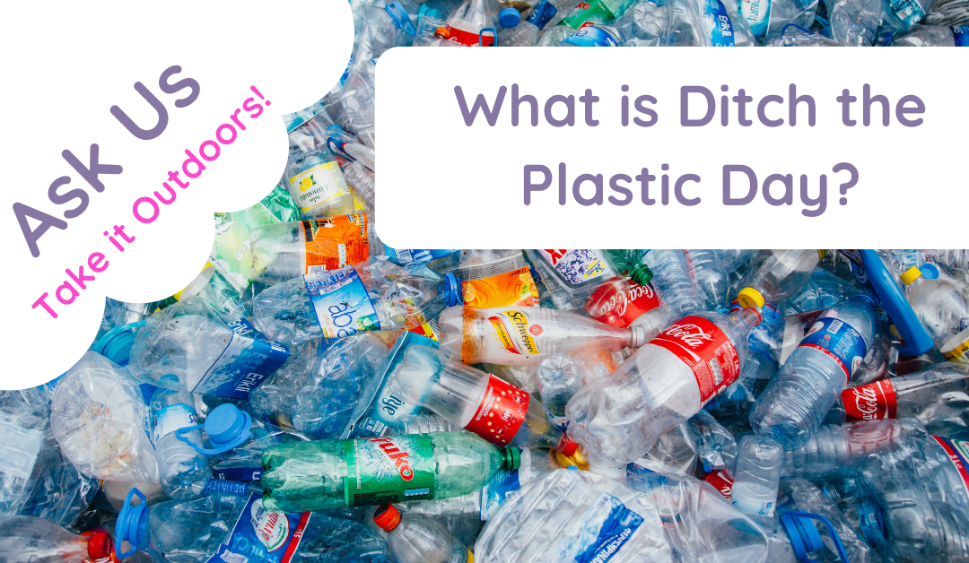 What is Ditch the Plastic Day?