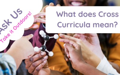 What does cross curricula mean?