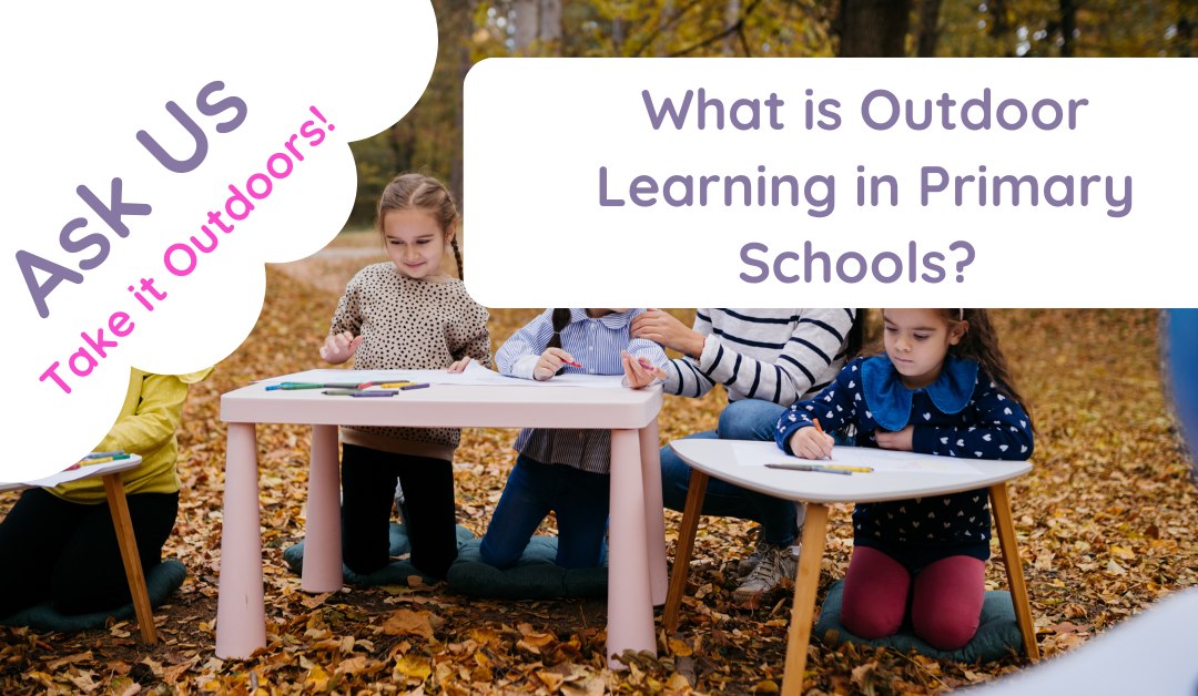 What Is Outdoor Learning in Primary Schools?