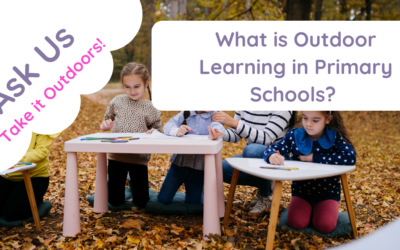 What Is Outdoor Learning in Primary Schools?